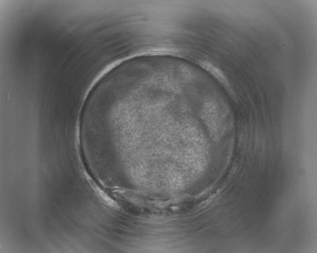 X0000069791420200606021401