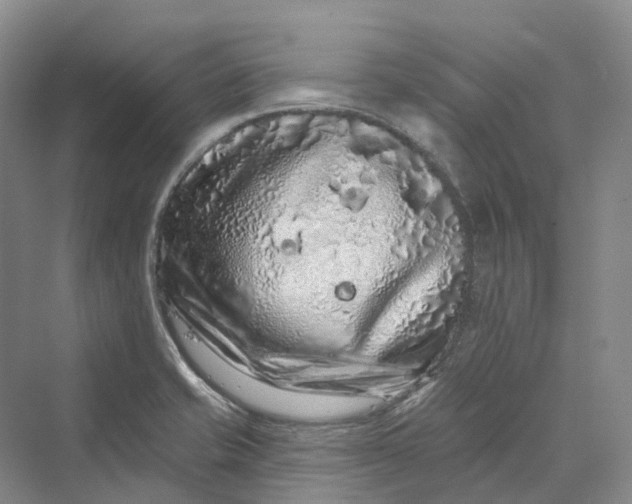 X0000069791421200606021401