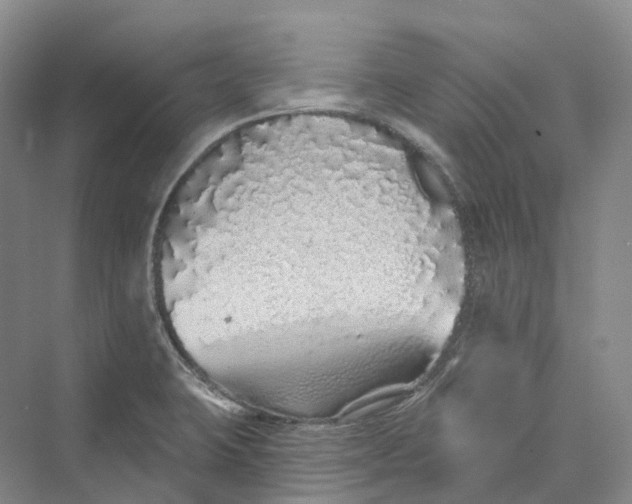 X0000069791423200606021401