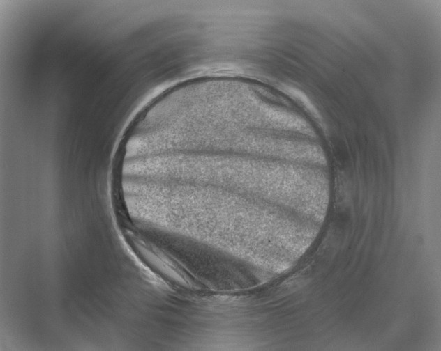 X0000069791424200606021401