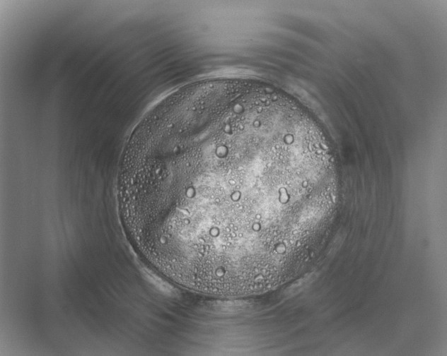 X0000069791425200606021401