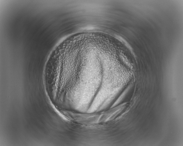 X0000069791429200606021401