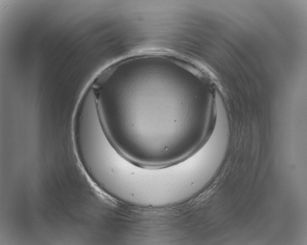 X0000069791430200606021401