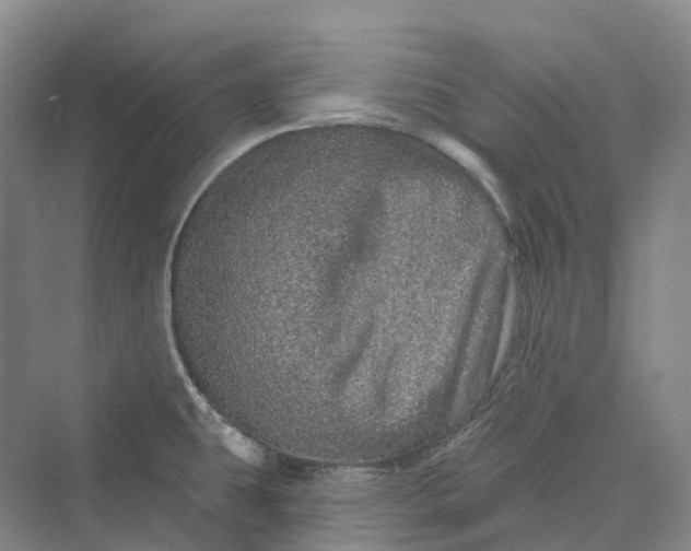 X0000069791431200606021401