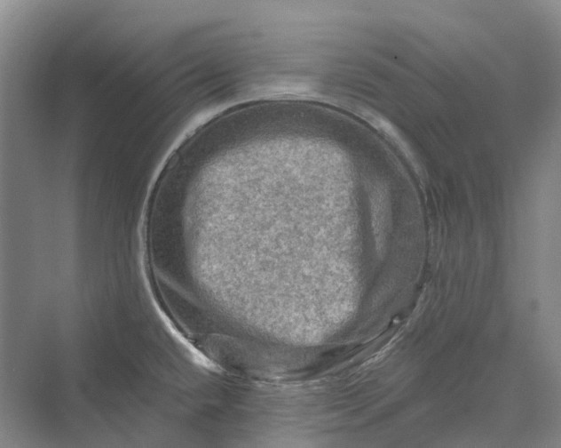 X0000069791432200606021401