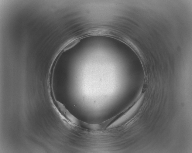 X0000069791434200606021401