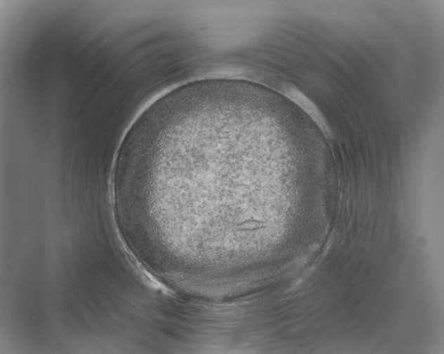 X0000069791436200606021402