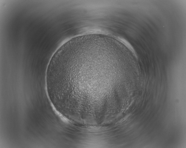 X0000069791439200606021402