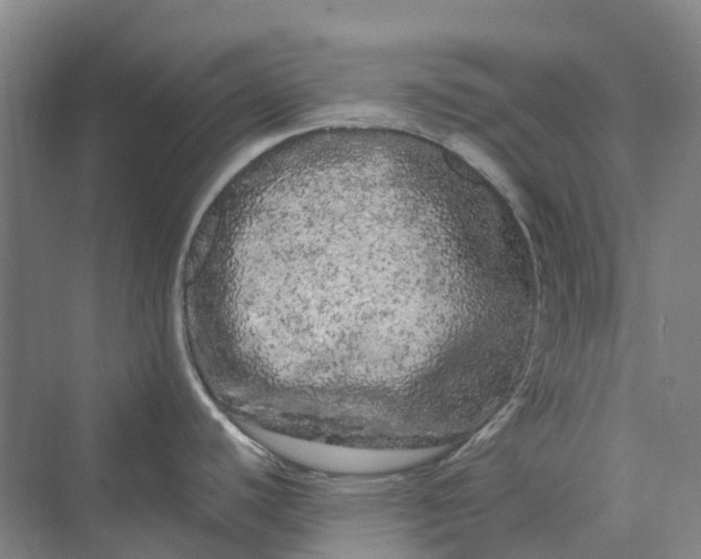 X0000069791440200606021402