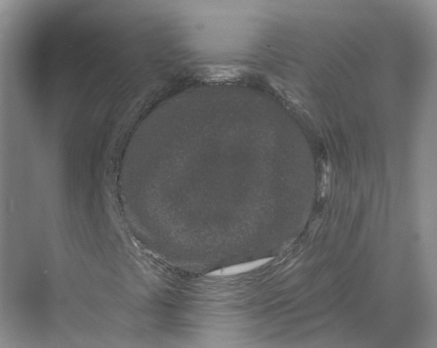 X0000069791441200606021401