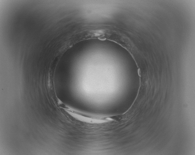 X0000069791442200606021401