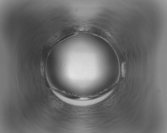 X0000069791443200606021401