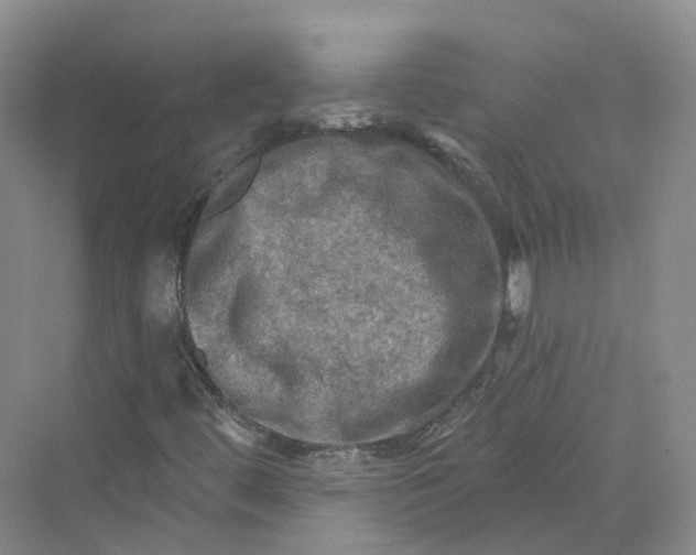 X0000069791444200606021401