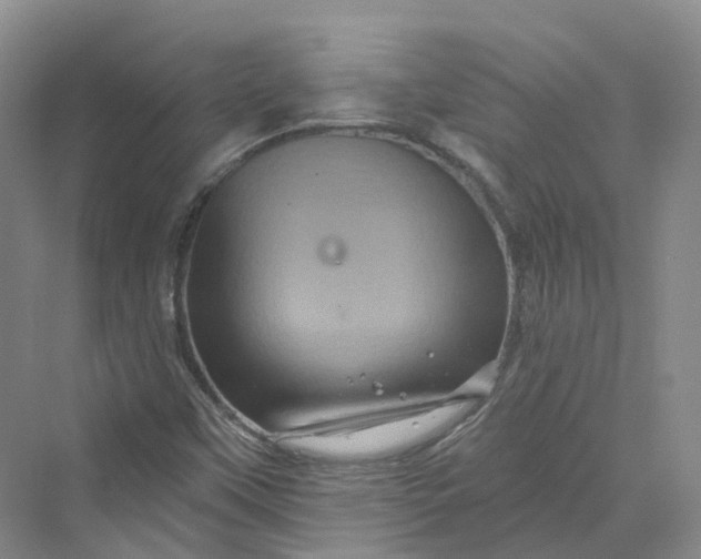 X0000069791451200606021401