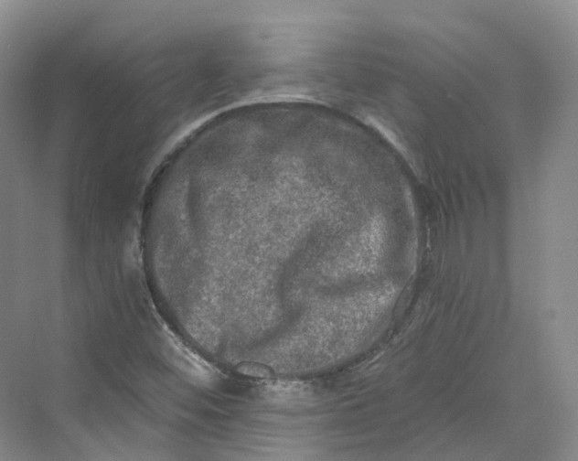 X0000069791452200606021401