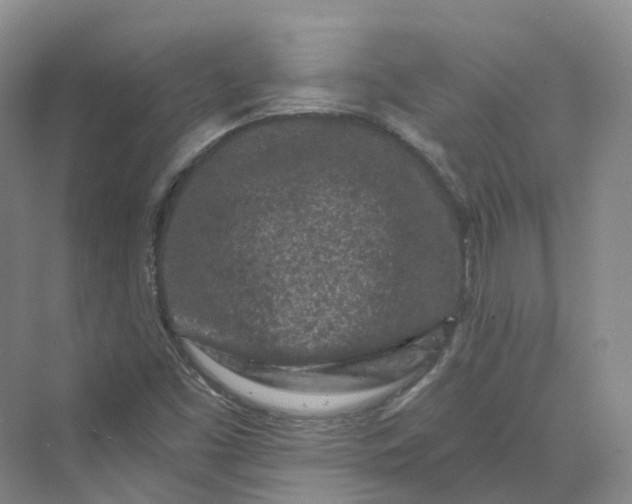 X0000069791453200606021401