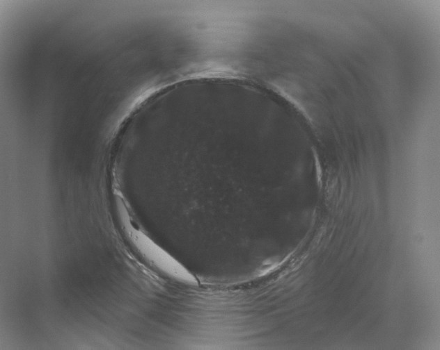 X0000069791455200606021401