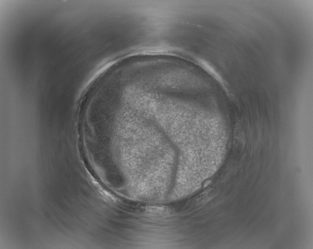 X0000069791456200606021401