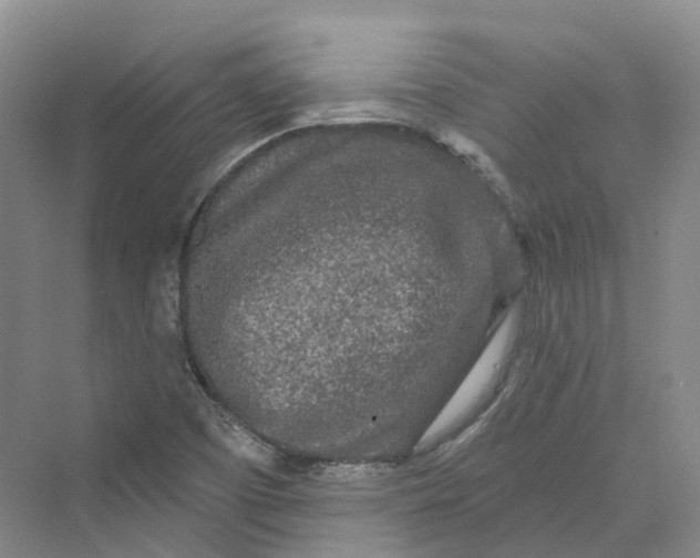 X0000069791457200606021401