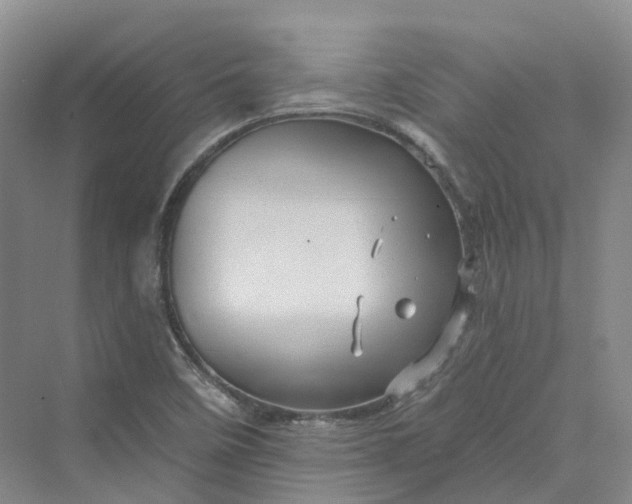 X0000069791458200606021400