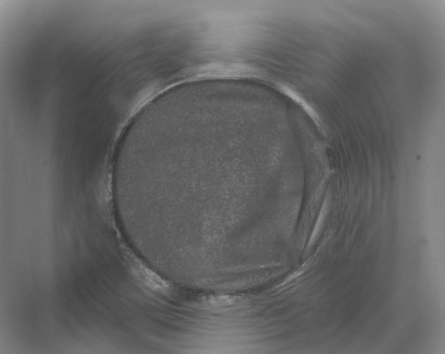 X0000069791459200606021400