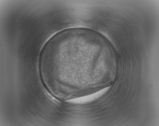 X0000069791460200606021400