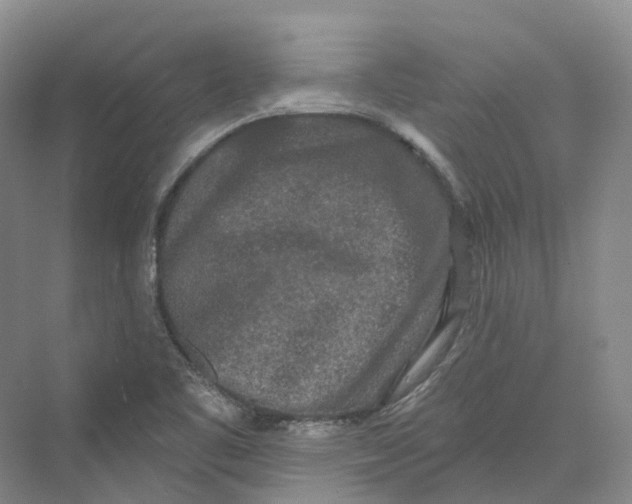 X0000069791461200606021400