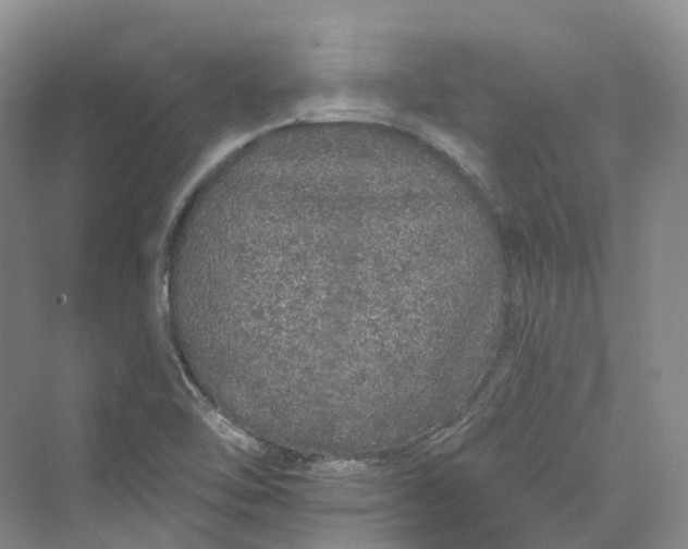 X0000069791462200606021400