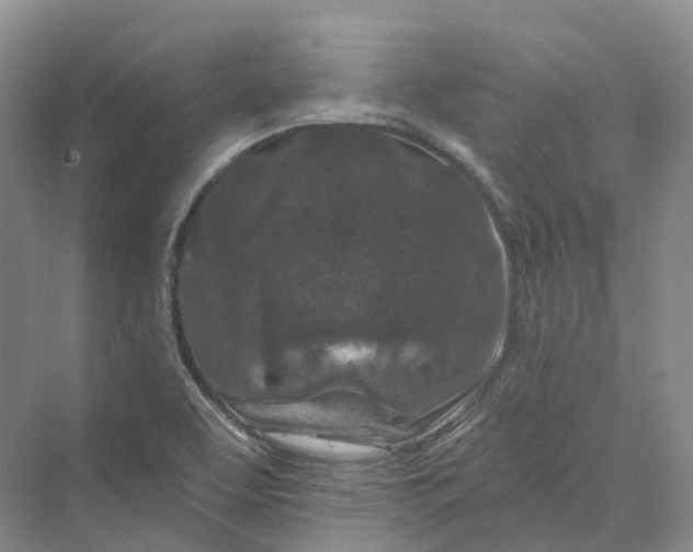 X0000069791463200606021400