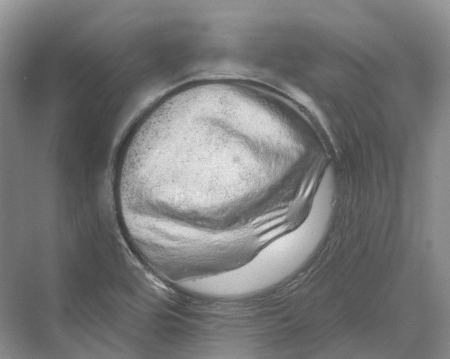 X0000069791464200606021400