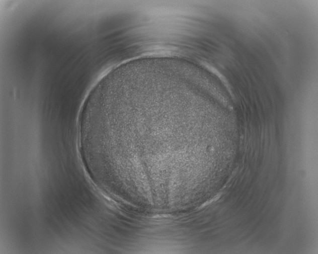 X0000069791467200606021400