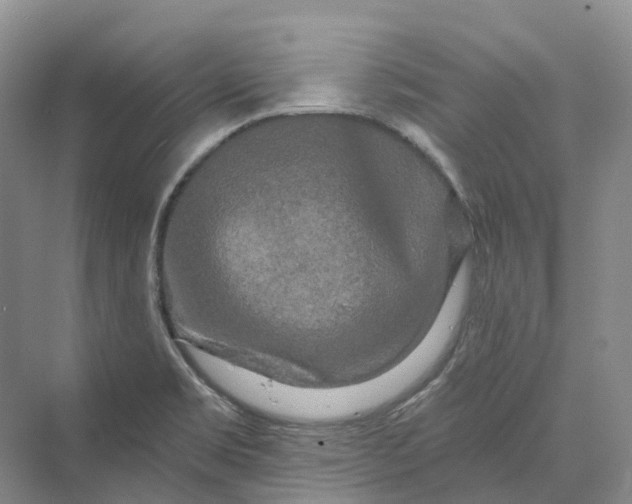 X0000069791469200606021400