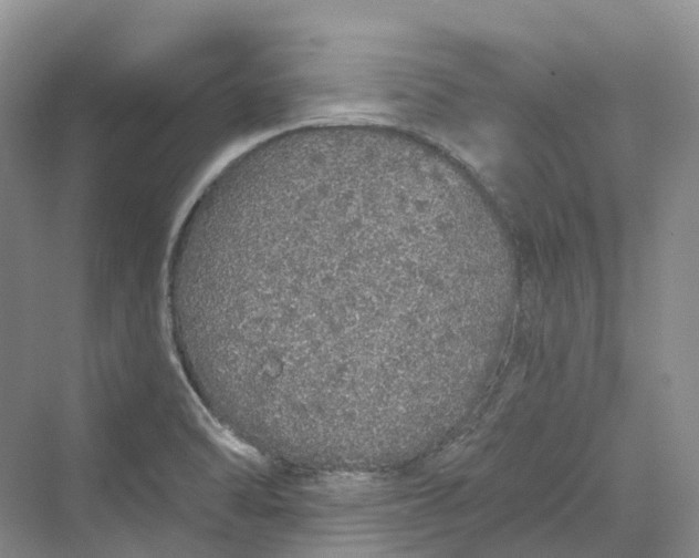 X0000069791470200606021400