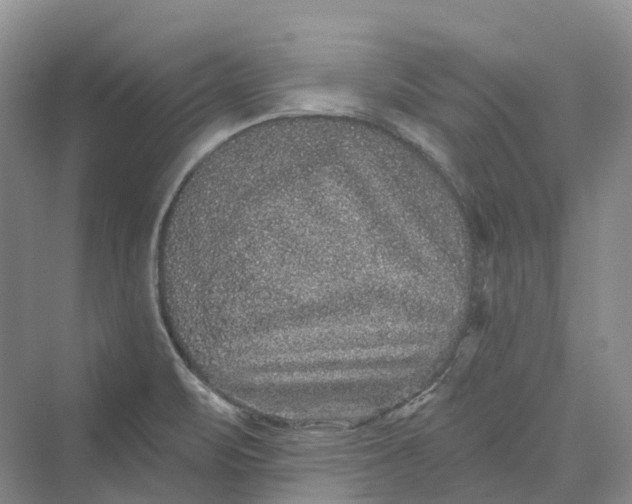 X0000069791471200606021400