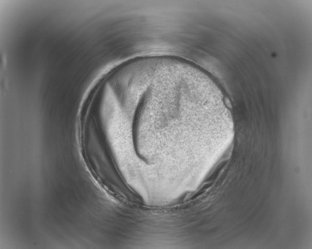 X0000069791472200606021400