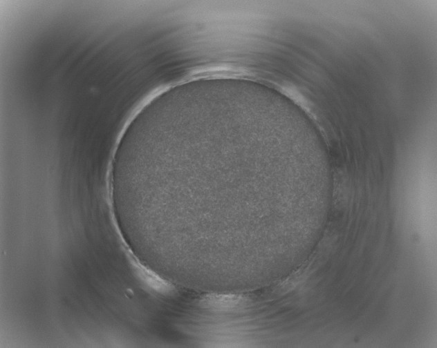 X0000069791474200606021400