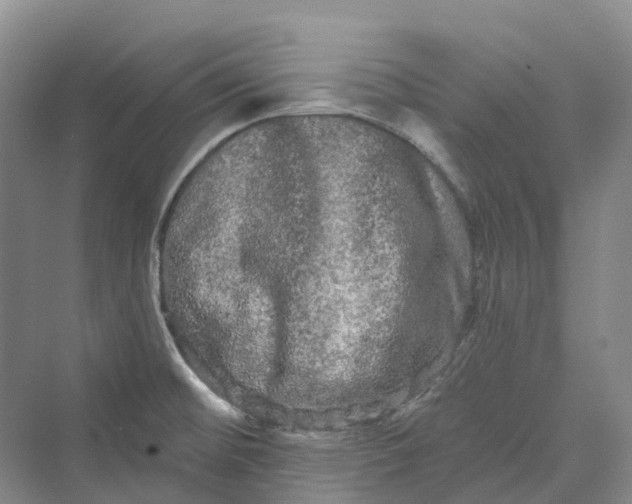 X0000069791476200606021400