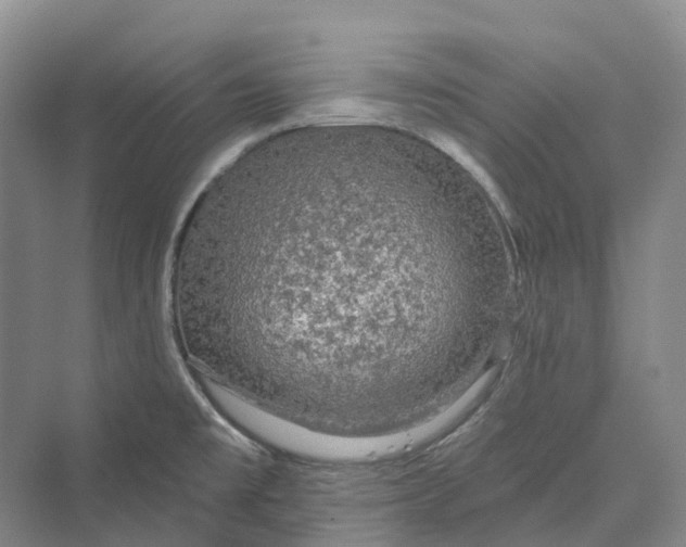 X0000069791477200606021400