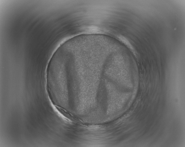 X0000069791479200606021400