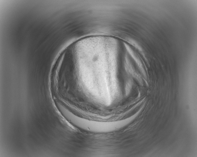 X0000069791480200606021400