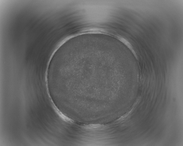 X0000069791482200606021400