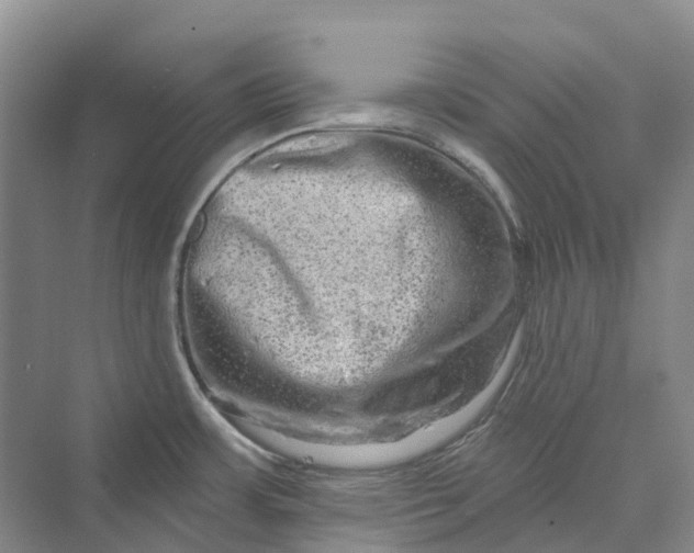 X0000069791483200606021400