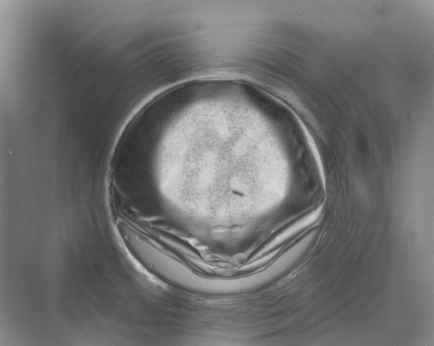 X0000069791484200606021400