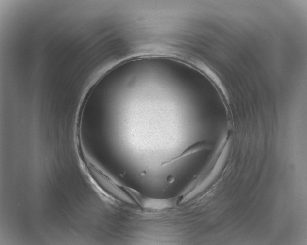 X0000069791485200606021400