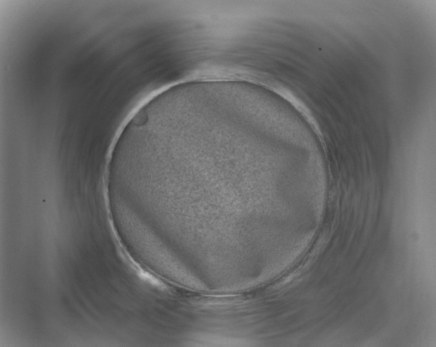 X0000069791486200606021400