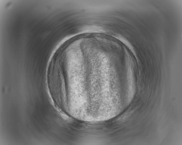 X0000069791488200606021400