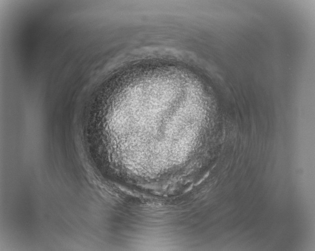 X0000069791489200606021359