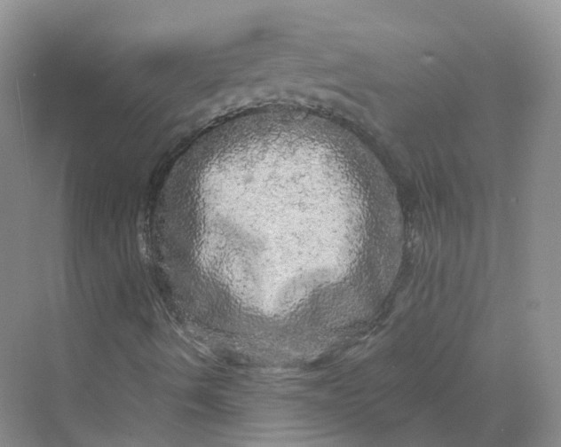 X0000069791490200606021359