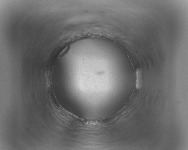 X0000069791491200606021359