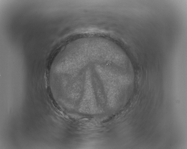 X0000069791493200606021359